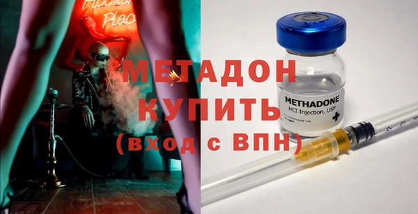 сатива Беломорск