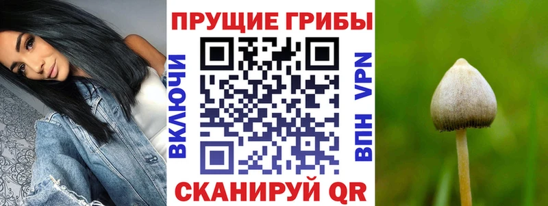Псилоцибиновые грибы GOLDEN TEACHER  Видное 